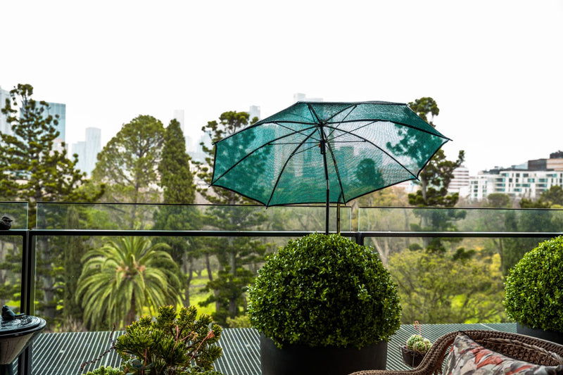 Step 3 - Protect & Enjoy