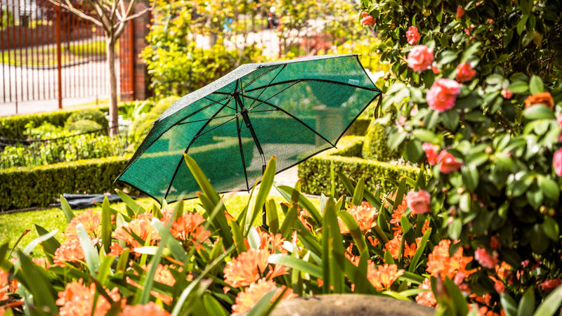 Step 3 — Protect & Enjoy