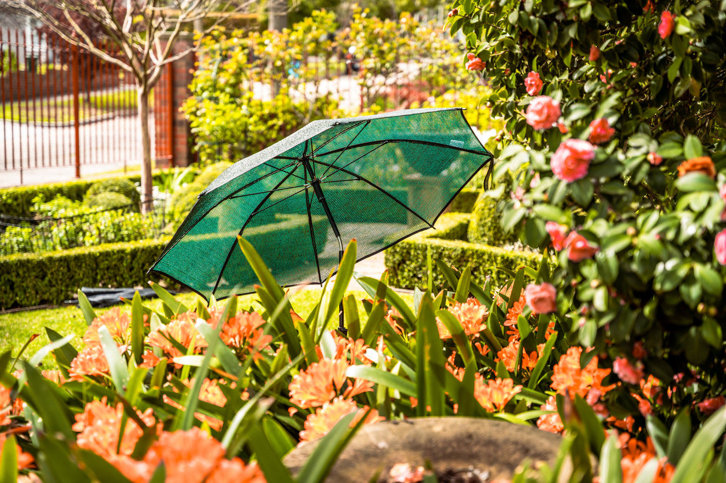 PlantBrolly® Adjustable Plant Shade Umbrella