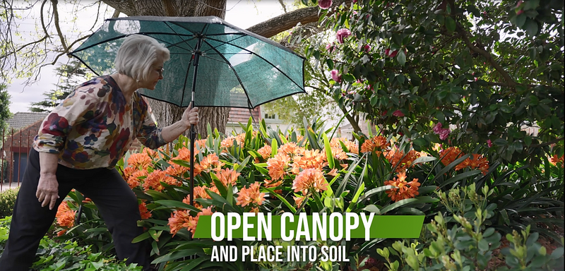 Step 2 - Open Canopy